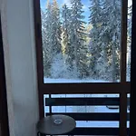 Elizi Winter Pamporovo