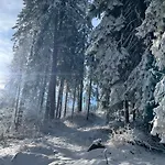 Elizi Winter *