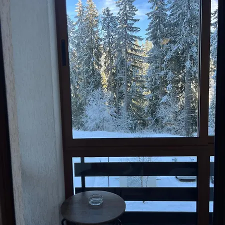Elizi Winter Pamporovo