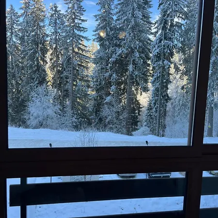 Apartment Elizi Winter Pamporovo