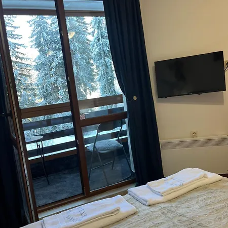 Apartment Elizi Winter Pamporovo