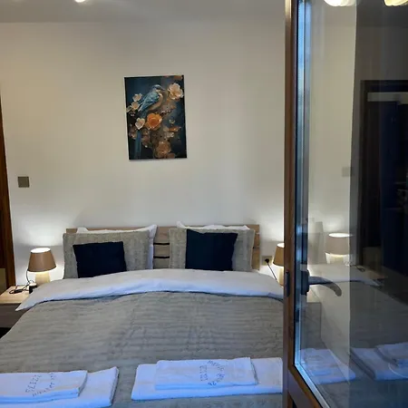 Apartment Elizi Winter Pamporovo