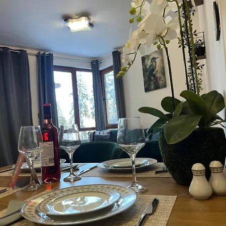 Elizi Winter Lägenhet *