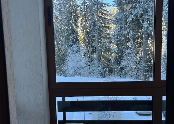 Elizi Winter Pamporovo