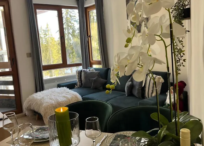 Elizi Winter Pamporovo